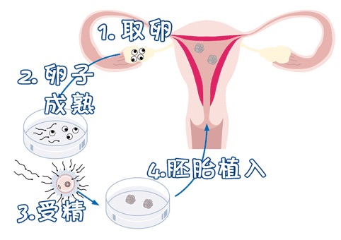 赵主任